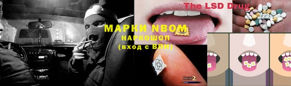 таблы Новозыбков