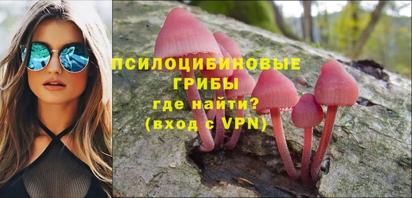 таблы Новозыбков