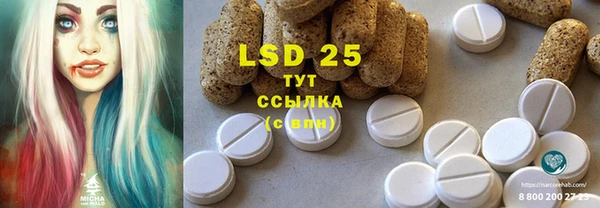 таблы Новозыбков