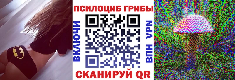 Галлюциногенные грибы Psilocybe  Анива 